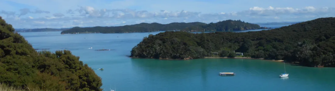 paihia
